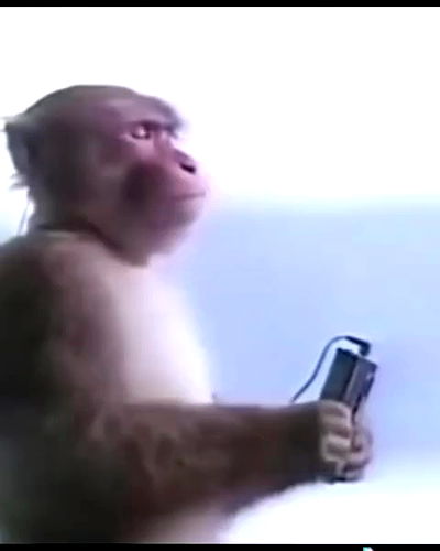 tyla tyla archive video