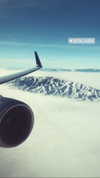 noa_mendel_ Altpins Profile Picture