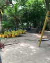 jailyneojeda Altpins Profile Picture