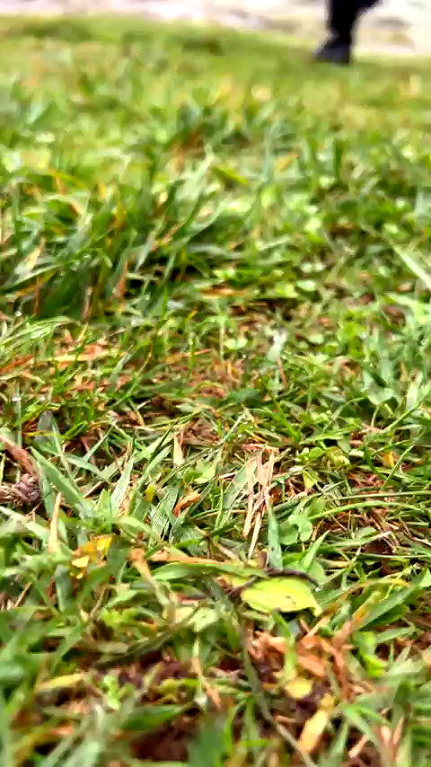 emily.otaku archive video preview