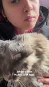 kirisuro Altpins Profile Picture