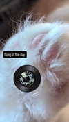 zz.eazoning Altpins Profile Picture