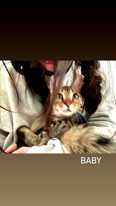 hellokittyangel666 hellokittyangel666 archive video