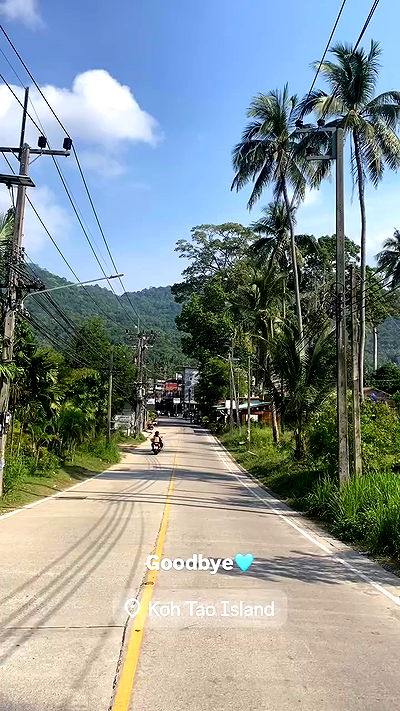 yam_adler yam_adler archive video