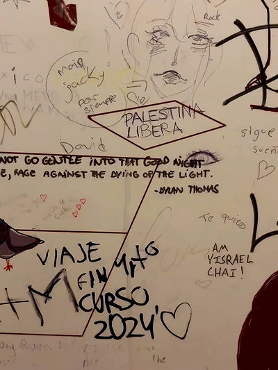 yam_adler yam_adler archive video