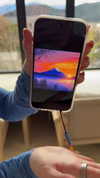 laararosebackup Altpins Profile Picture