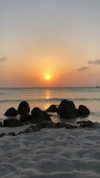 laurasaponara Altpins Profile Picture