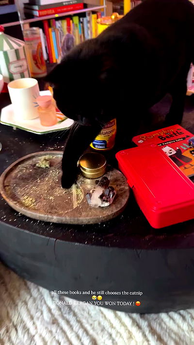 miakhalifa miakhalifa archive video