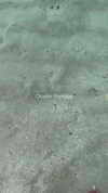 ilana.21 Altpins Profile Picture