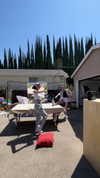 maxine_bowen Altpins Profile Picture