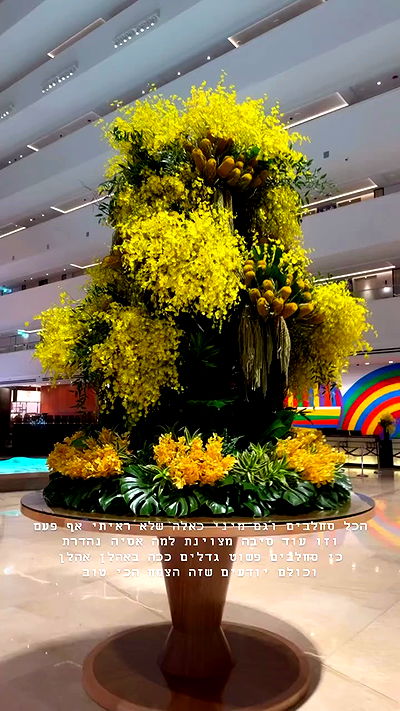 kesemgreenyer kesemgreenyer archive video