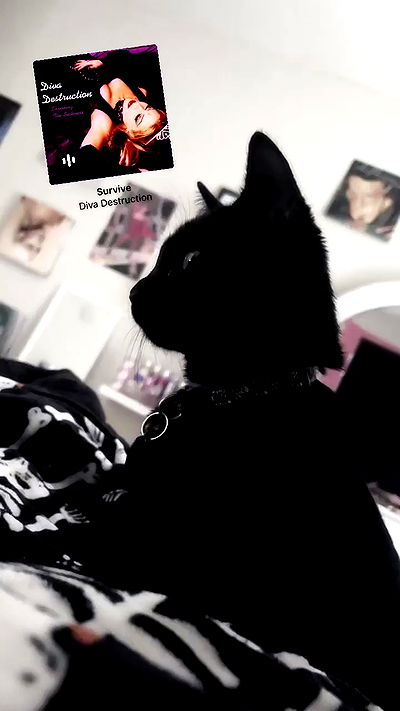 juliaelzz juliaelzz archive video