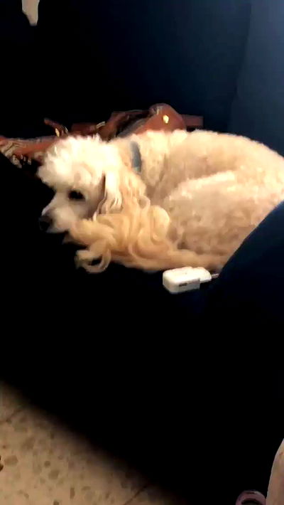 feelbetterinmysweater feelbetterinmysweater archive video