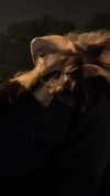 mekhrona_18 Altpins Profile Picture