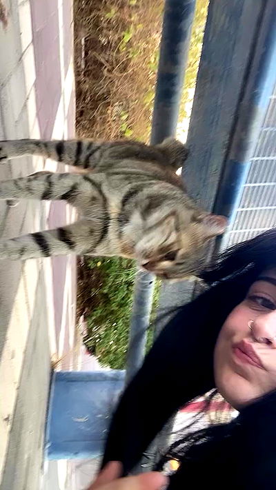 feelbetterinmysweater feelbetterinmysweater archive video