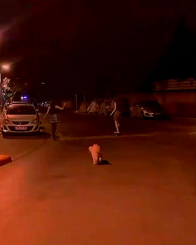 feelbetterinmysweater feelbetterinmysweater archive video