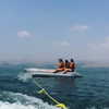 dror_morad Altpins Profile Picture