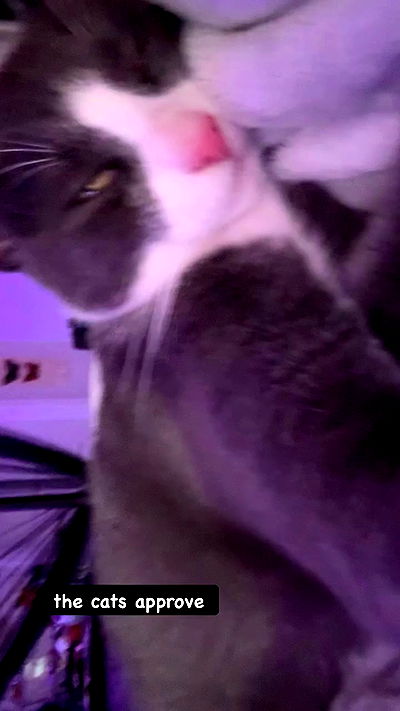 9bitez 9bitez archive video