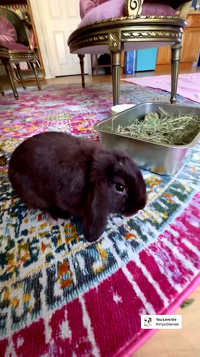 neiimaaa neiimaaa archive video