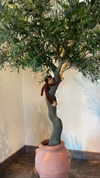 astarwbry_ Altpins Profile Picture