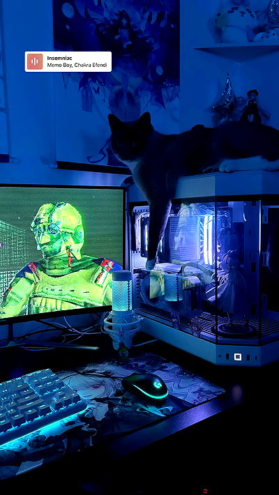 wuvkyu wuvkyu archive video