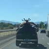 cialikechia Altpins Profile Picture