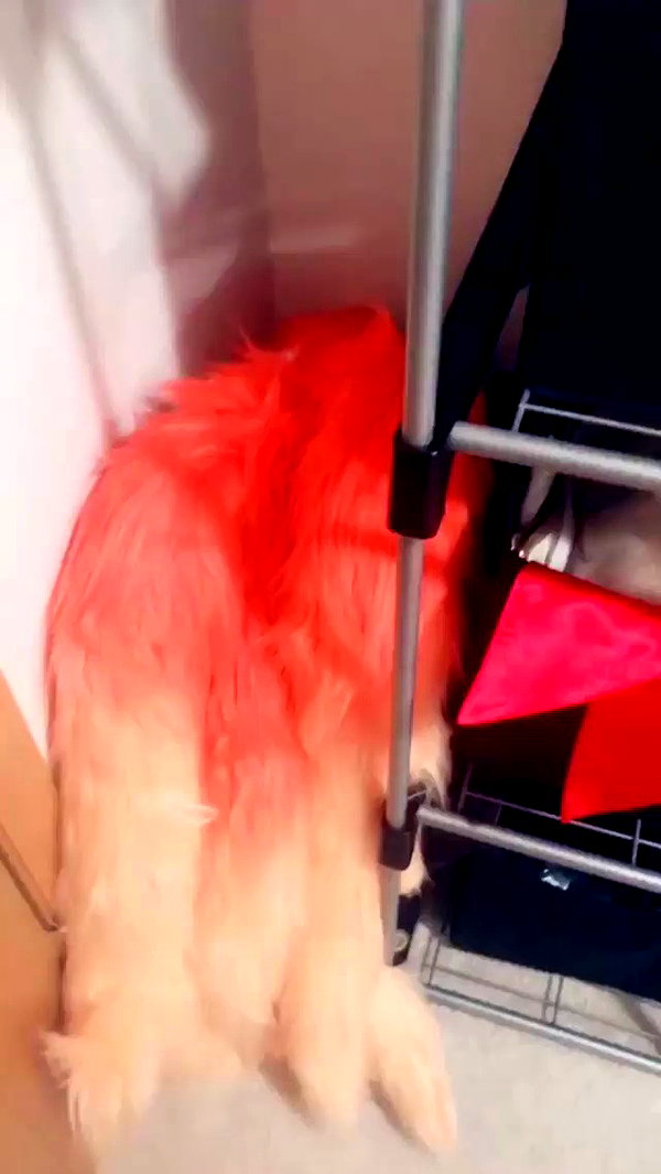 emiru.jpg archive video preview