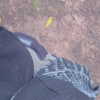 psychedelic_mess______ Altpins Profile Picture
