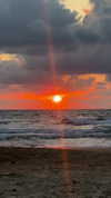 roni_ackerman Altpins Profile Picture
