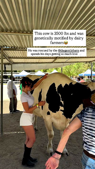 sophiemudd sophiemudd archive video