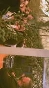 _lironatias Altpins Profile Picture