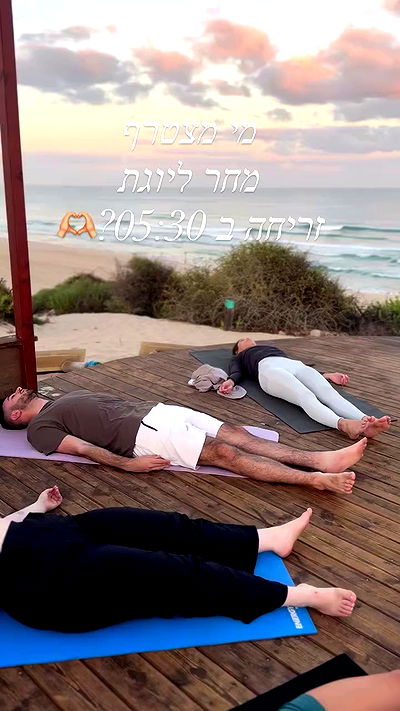 liad.arazi liad.arazi archive video