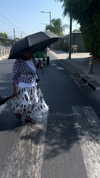 shaipeleg Altpins Profile Picture