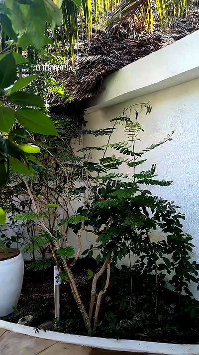 tinapavlov.sky tinapavlov.sky archive video