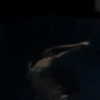 nasteppa Altpins Profile Picture