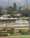 savannahraedemers Altpins Profile Picture