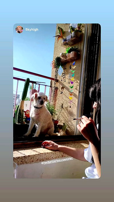 feelbetterinmysweater feelbetterinmysweater archive video