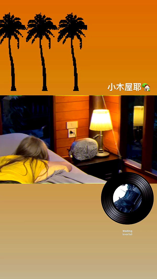 maomao.418 archive video preview