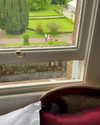 catherine__roze Altpins Profile Picture