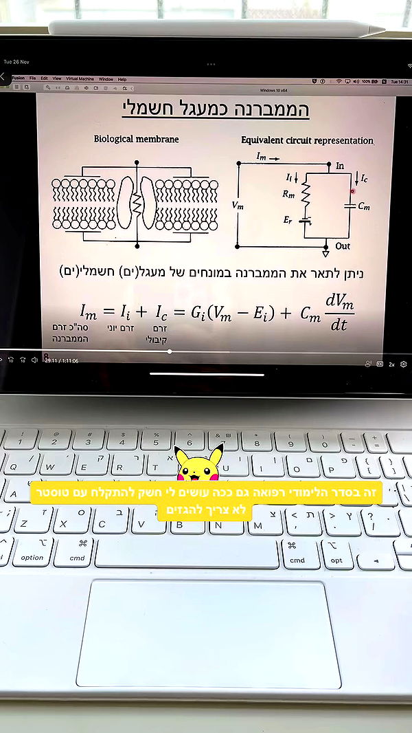 kesemgreenyer archive video preview
