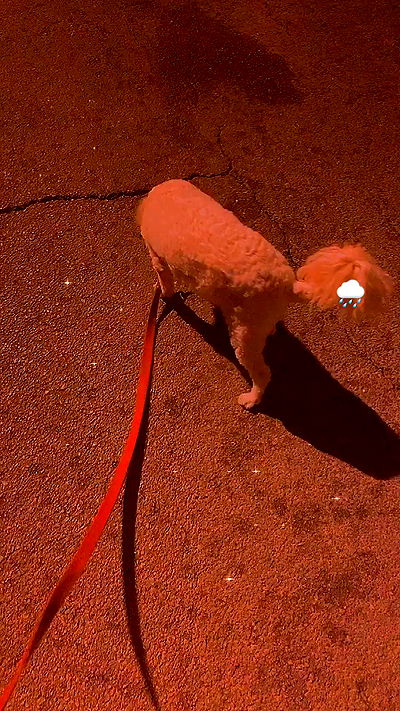 feelbetterinmysweater feelbetterinmysweater archive video