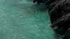 anaferflores Altpins Profile Picture