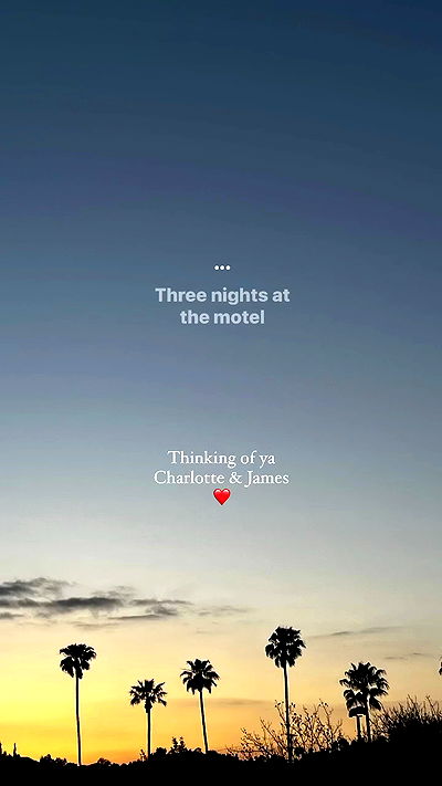 bakedsloths bakedsloths archive video