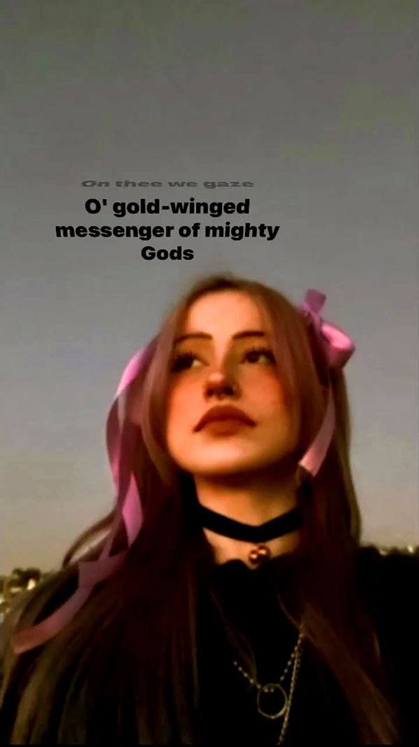 feelbetterinmysweater archive video preview