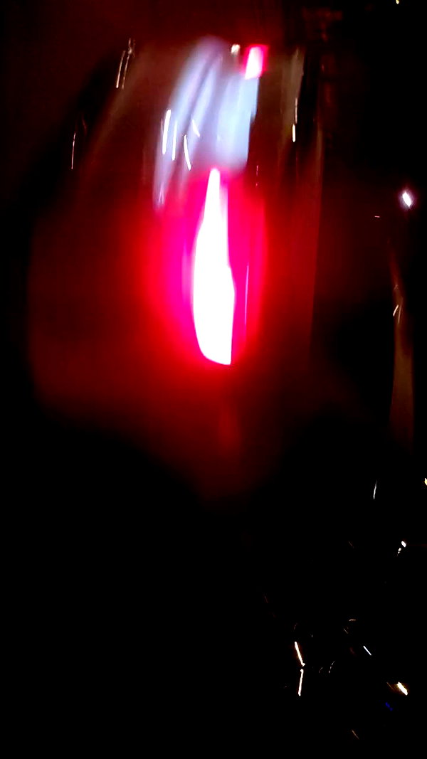 simp_for_cats_ archive video preview
