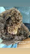 oonaghkittieee Altpins Profile Picture
