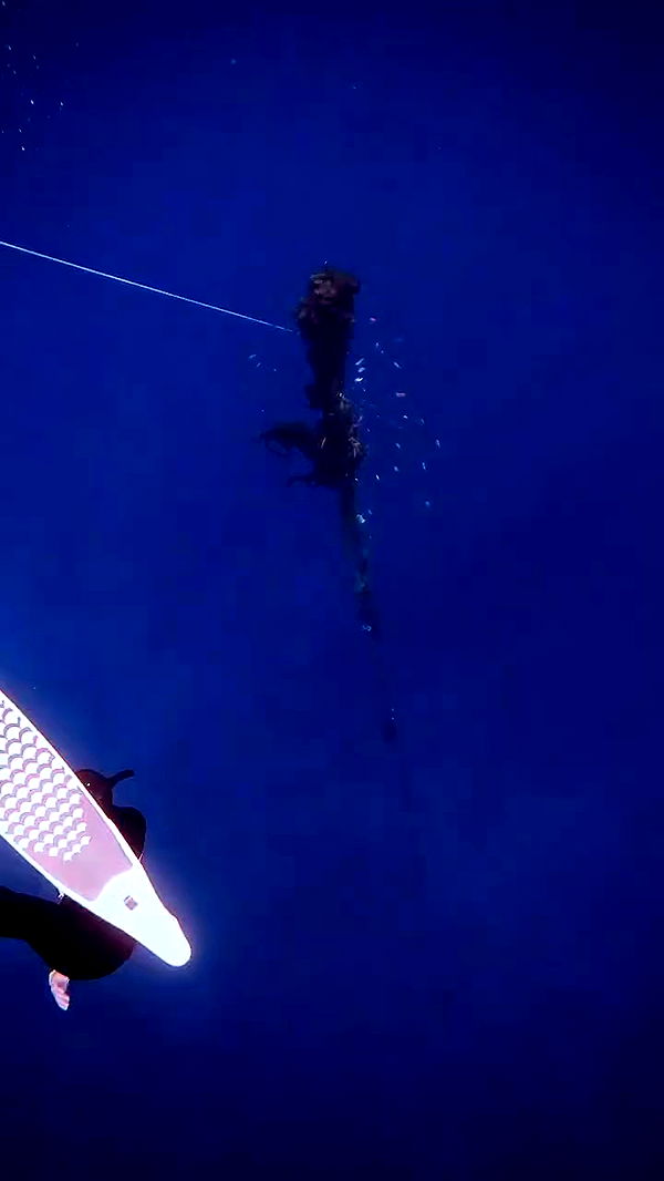 tinapavlov.sky archive video preview