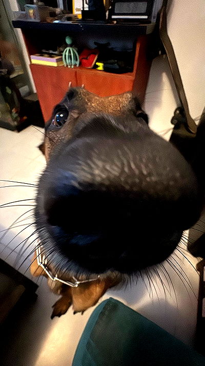 avitallllllllllllllll avitallllllllllllllll archive video