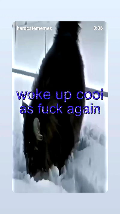 moonyyyya moonyyyya archive video