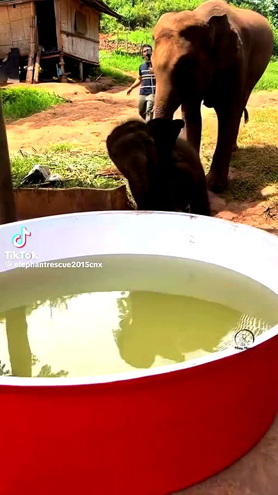 tobynjacobs tobynjacobs archive video